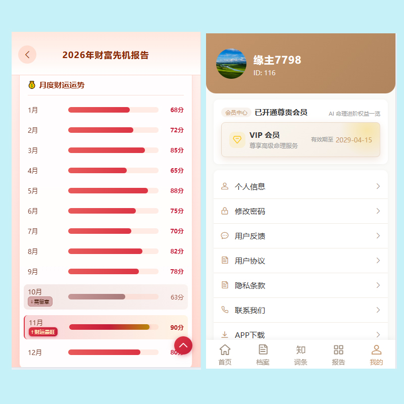 漫格互联 周易解盘助理 命运引擎：专业级 AI 命理分析软件系统解决方案